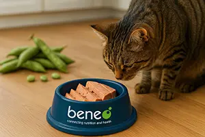 Faba bean protein concentrate shows strong potential as an alternative to animal blood plasma in wet pet food