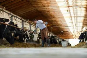 Harbro Limited acquires J&W Tait's feed business