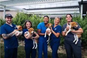 ADM and Hillâ€™s Pet Nutrition Partner to Boost Farm Resilience Through Regenerative Agriculture