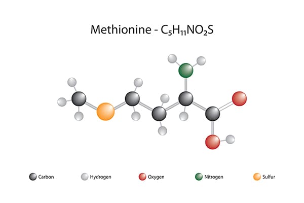 methionine